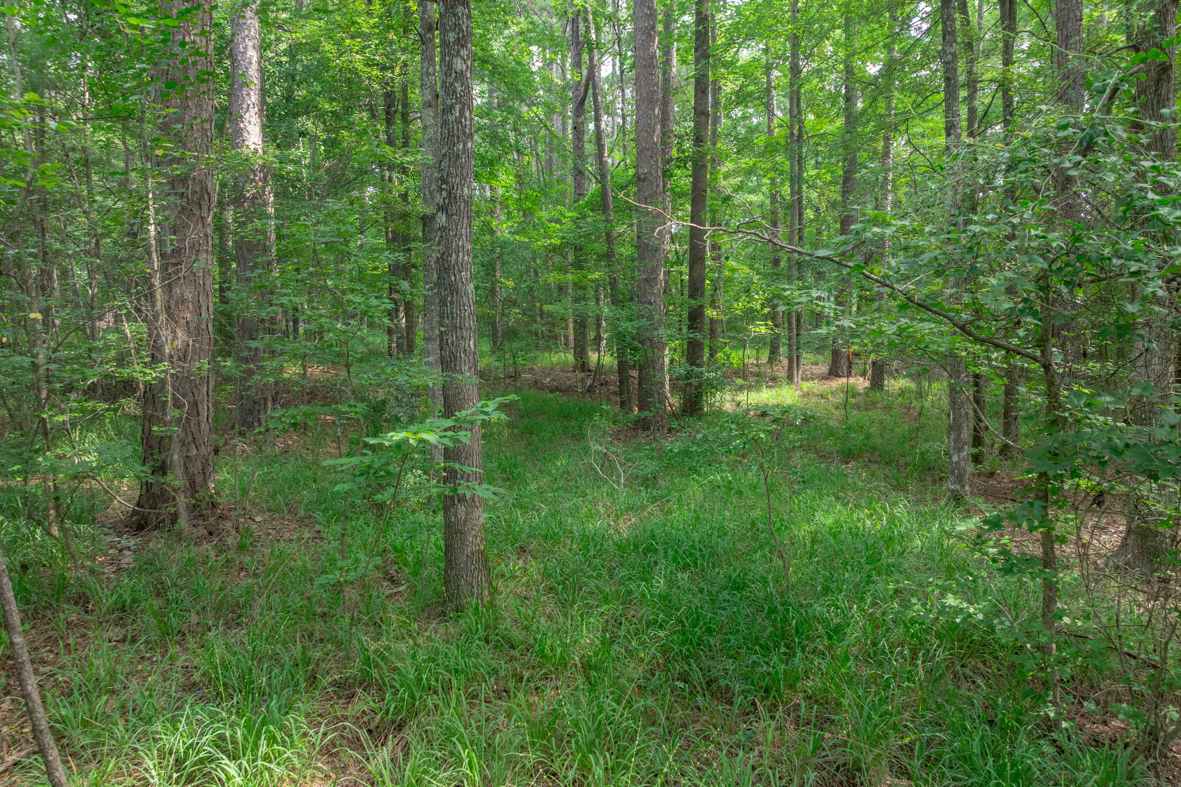 1040 Centennial Post Road image 6